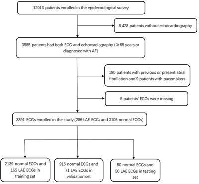 Detection of Left Atrial Enlargement Using a Convolutional Neural Network-Enabled Electrocardiogram